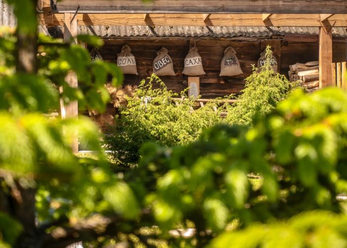 Usad'ba Belovezhskoe Pomest'e Guest House