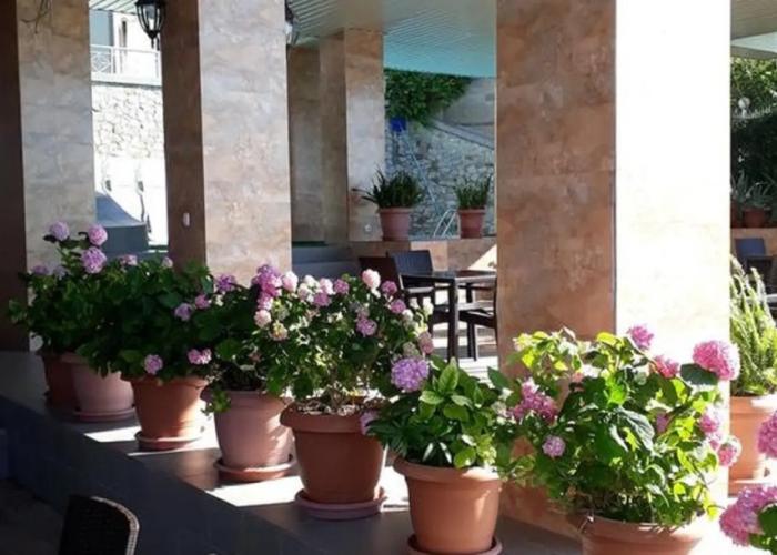 Chayka Guest house