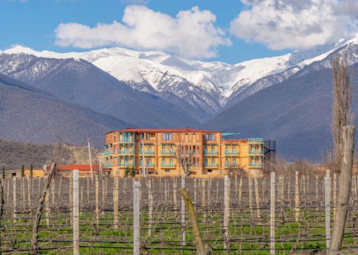 Burki Castle & Cellar Hotel