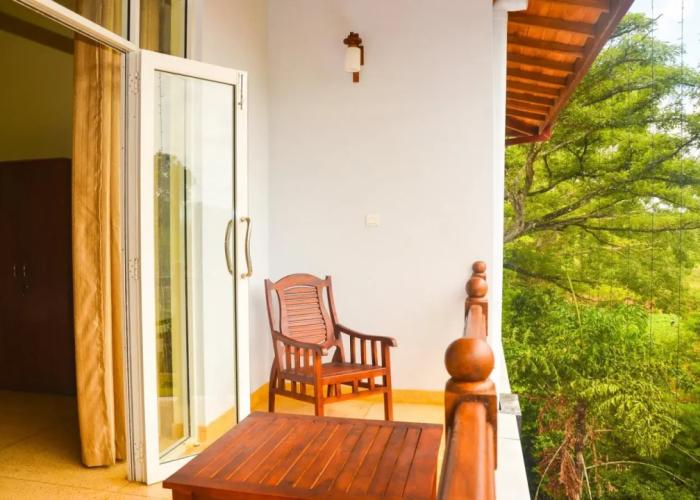 Hotel Lion Nature