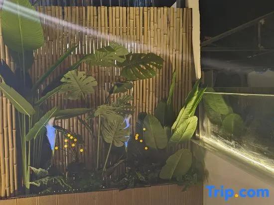 Shennongjia Yunshan Zhuli Homestay (Muyu Branch)
