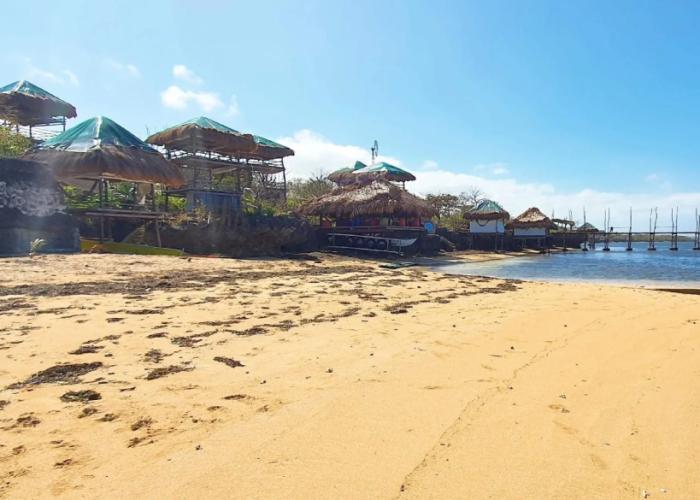 Birdland Beach Club