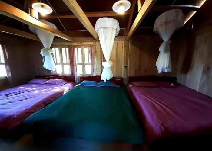 Homie Homestay - Hostel