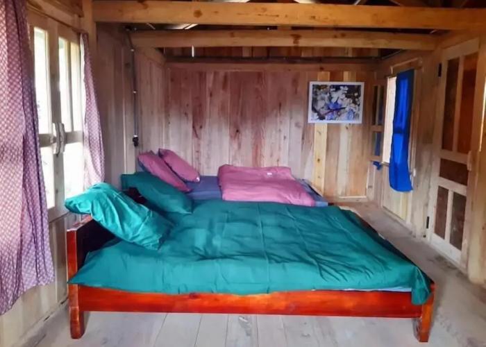 Homie Homestay - Hostel