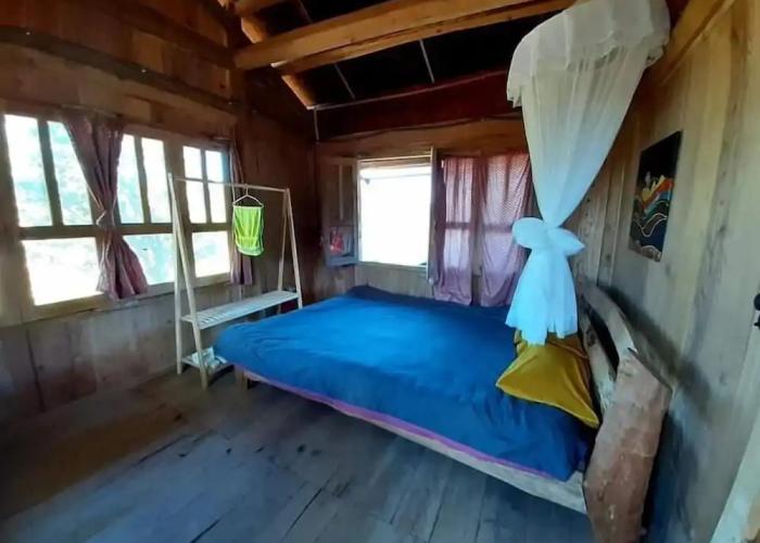 Homie Homestay - Hostel