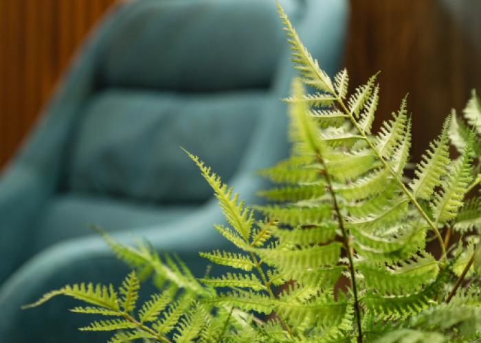 Kamchatka Chalet Hotel