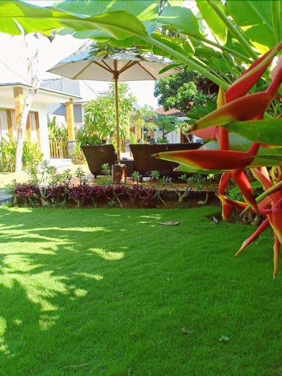 фото Singabu Bungalows