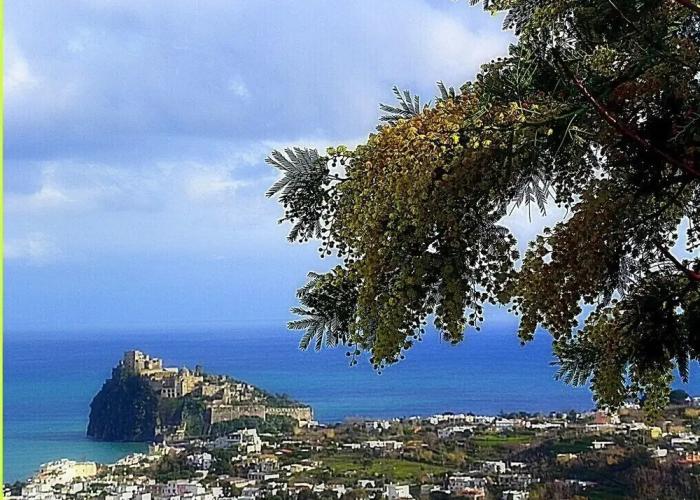 Villa La Favola Suite Ischia Terrace With View