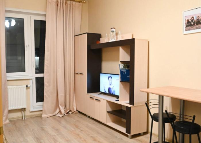 Studiya Solnechny 3 55 Apartments