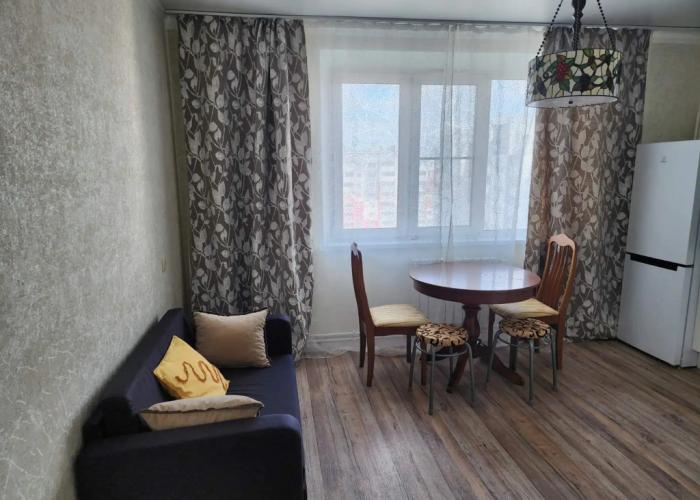 S Vidom Na Ozero Chebarkul Apartments