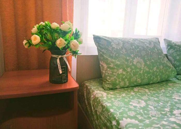 Cozy studio on Zarya 29B street