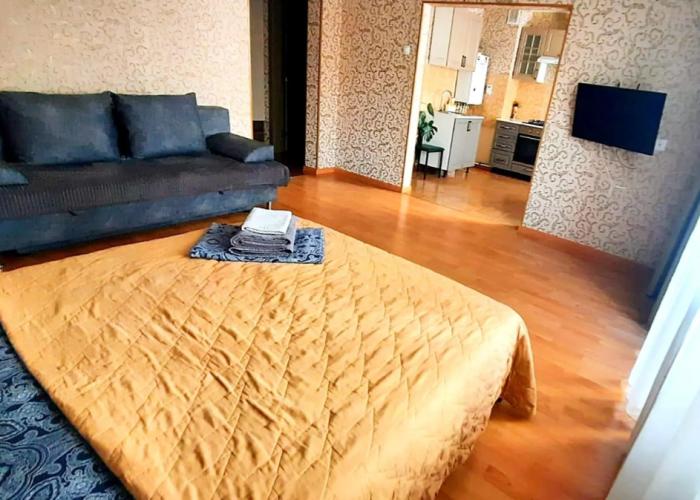 Cozy studio on Karpenko street 2