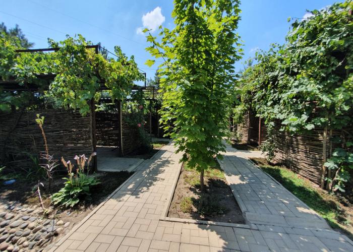 Sova Hotel