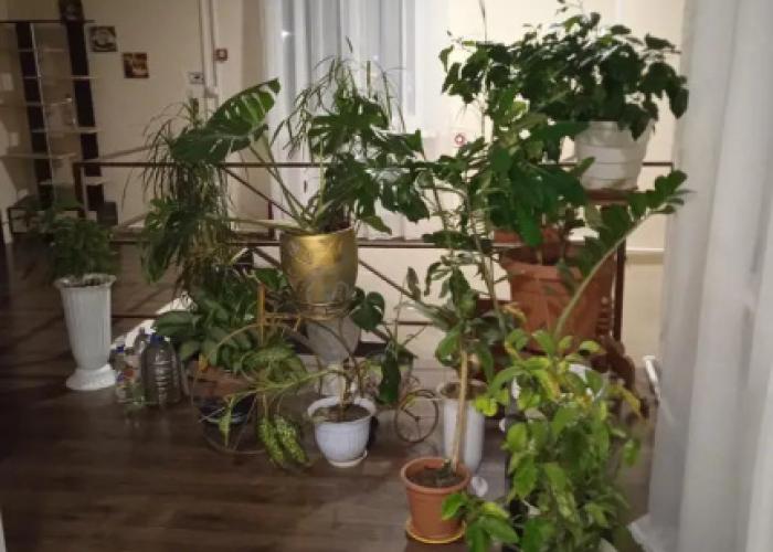 Anapa Hotel