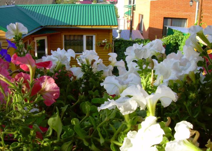 Ivanovskij Guest House