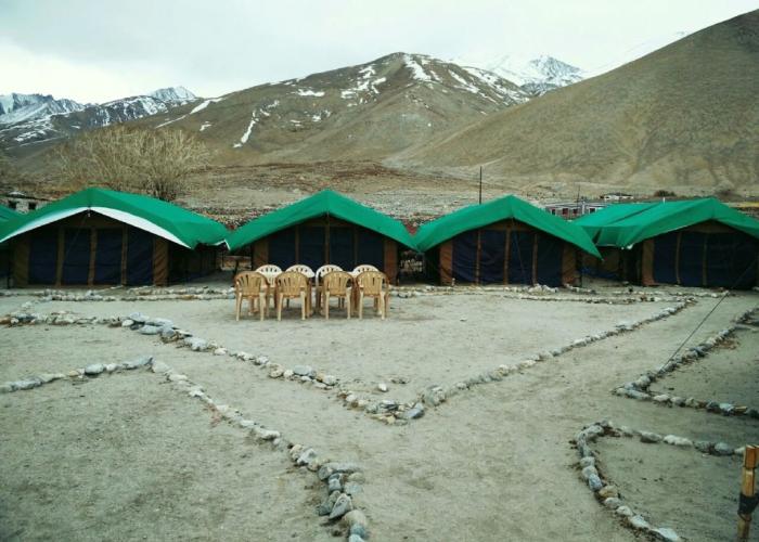 TIH Pangong Delight Camps and Cottages