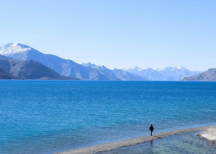 Blue Chill Cottage Pangong