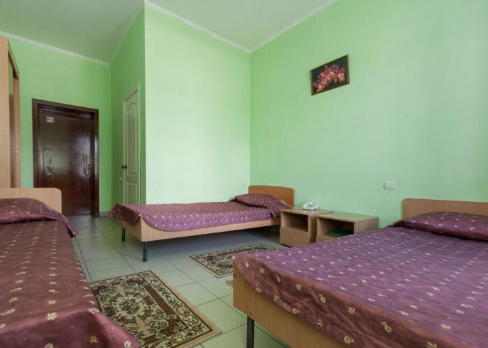 Regina Bolgar Hotel