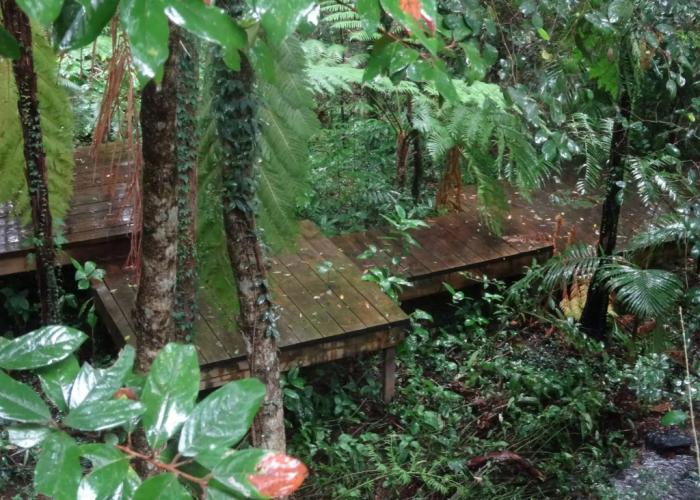 Treetops Accommodation Montville