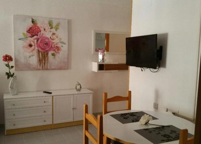 Homely Appartment Playa Acequion