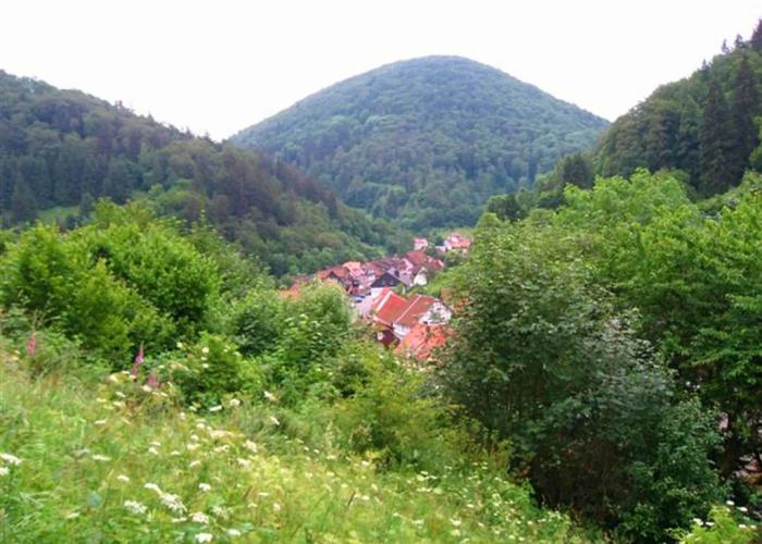 Spacious Holiday Home in Zorge Near the Forest