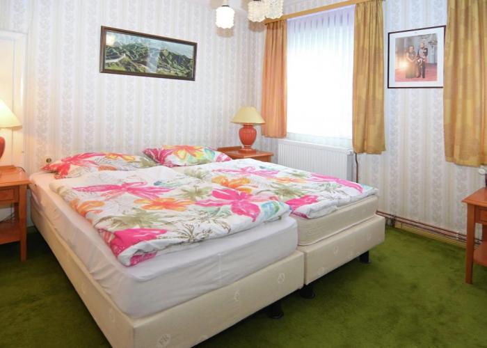 Detached House in the Harz Region With a Garden