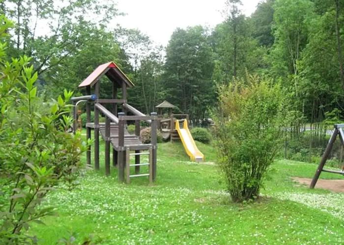 Detached House in the Harz Region With a Garden