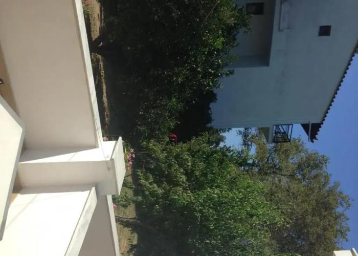 Alekos Rooms and Apartments