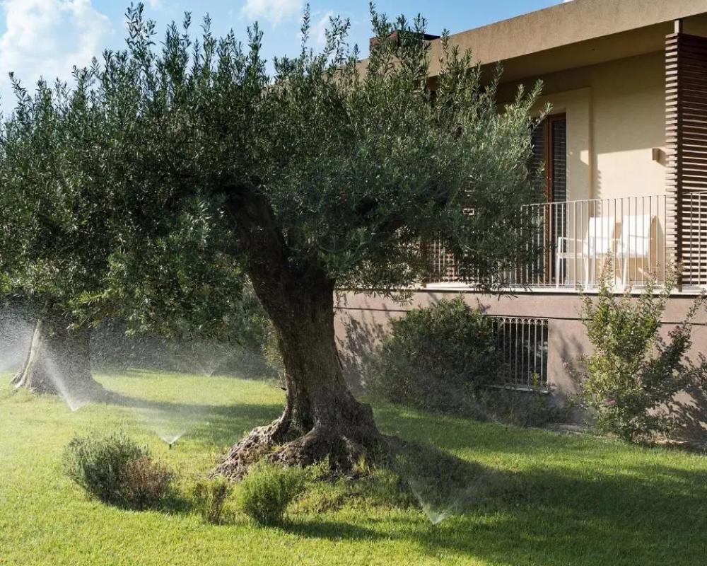 фото Rocca dei Saraceni