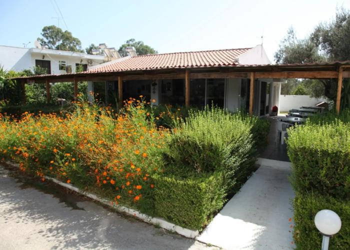 Hotel Despina