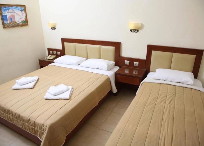 Hotel Zeus