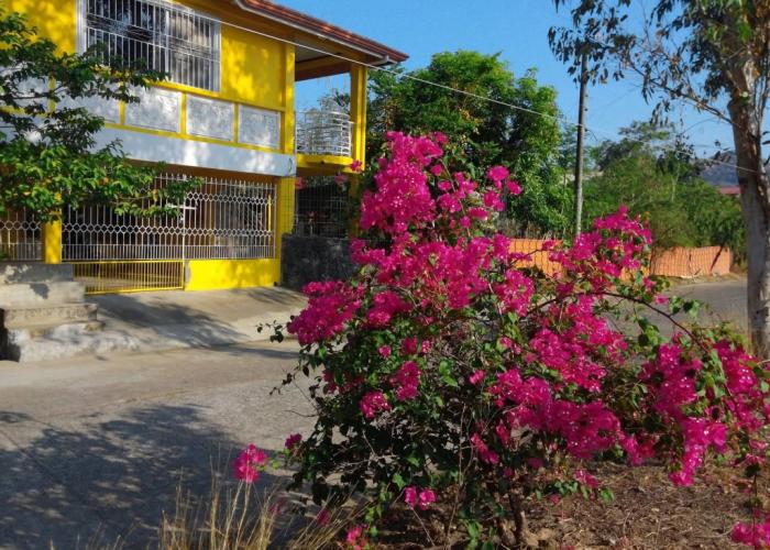 Yellow HOUSE Vacation Rental
