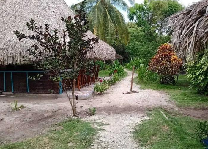 Las Palmeras