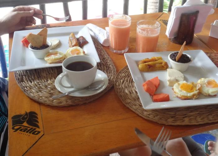 Marbella Eco Lodge