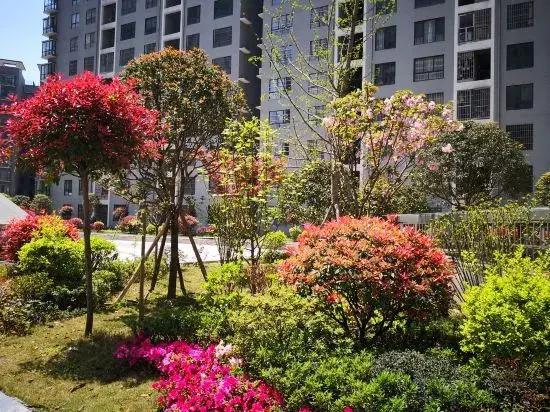 Bijie Jinpin Apartment Hotel