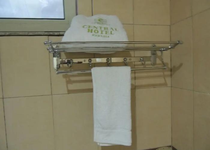 Central Hawassa hotel