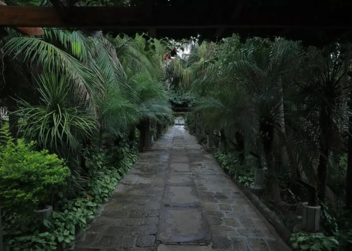 Lewi Resort and Spa