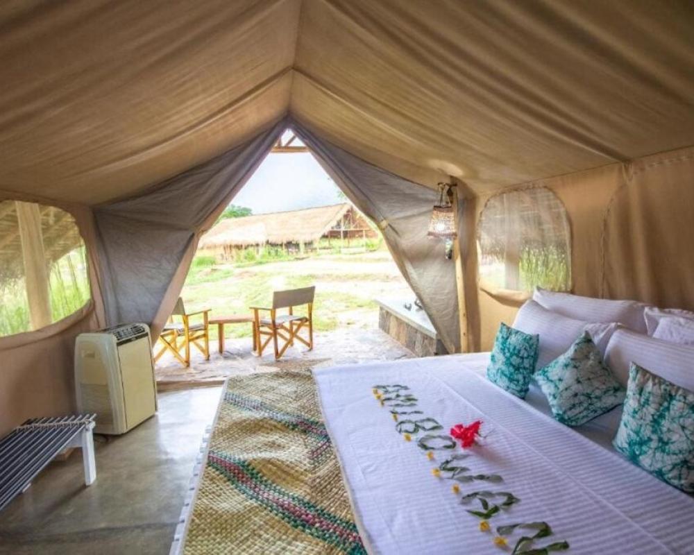 Wild Glamping Gal Oya