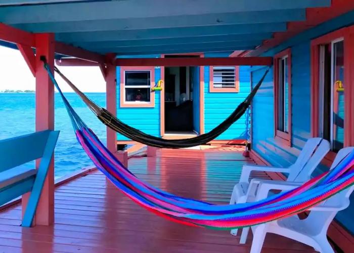 Bird Island Placencia