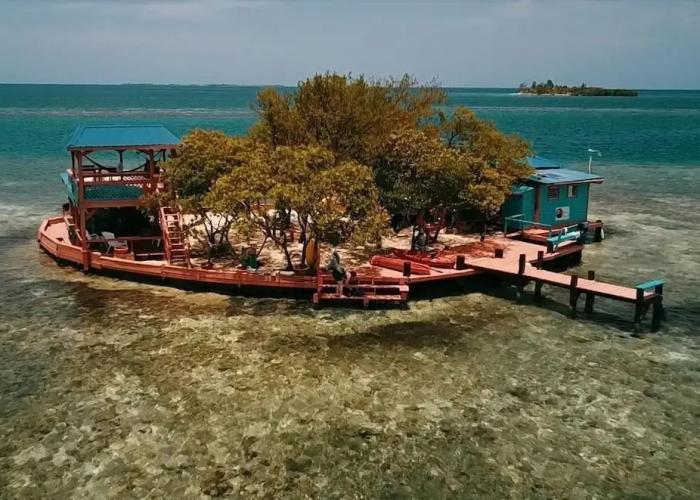 Bird Island Placencia
