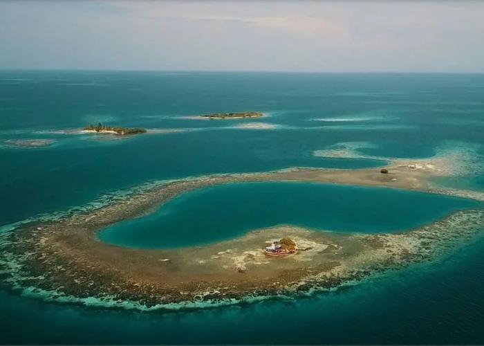 Bird Island Placencia