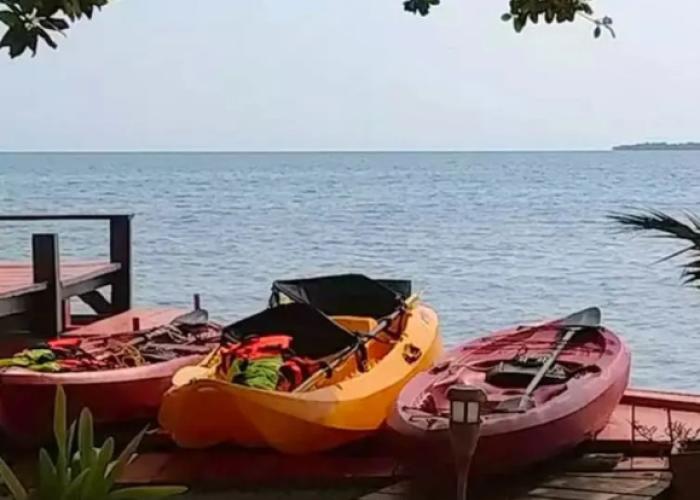Bird Island Placencia