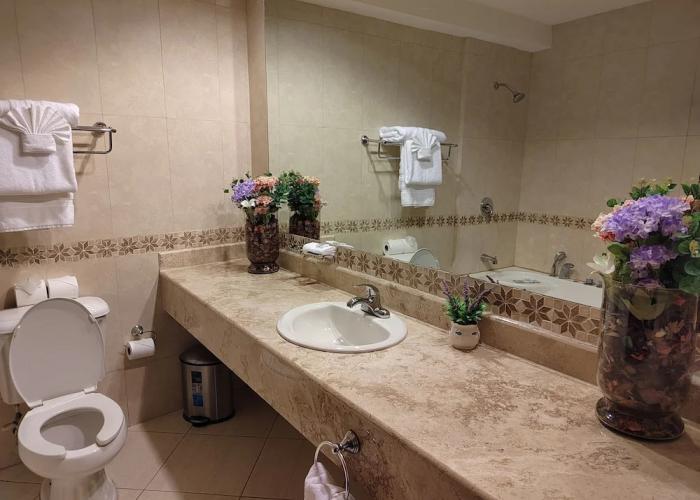 Princess Hotel and Casino Free Zone