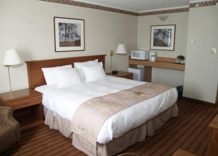 Lakeview Inns & Suites - Brandon