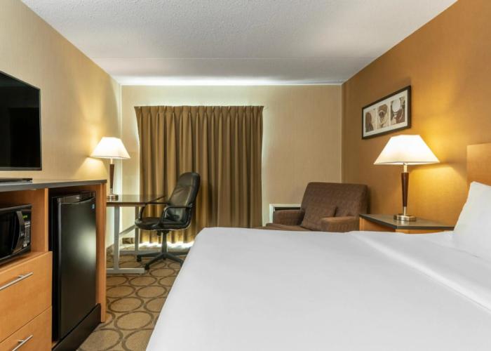 Comfort Inn Brandon