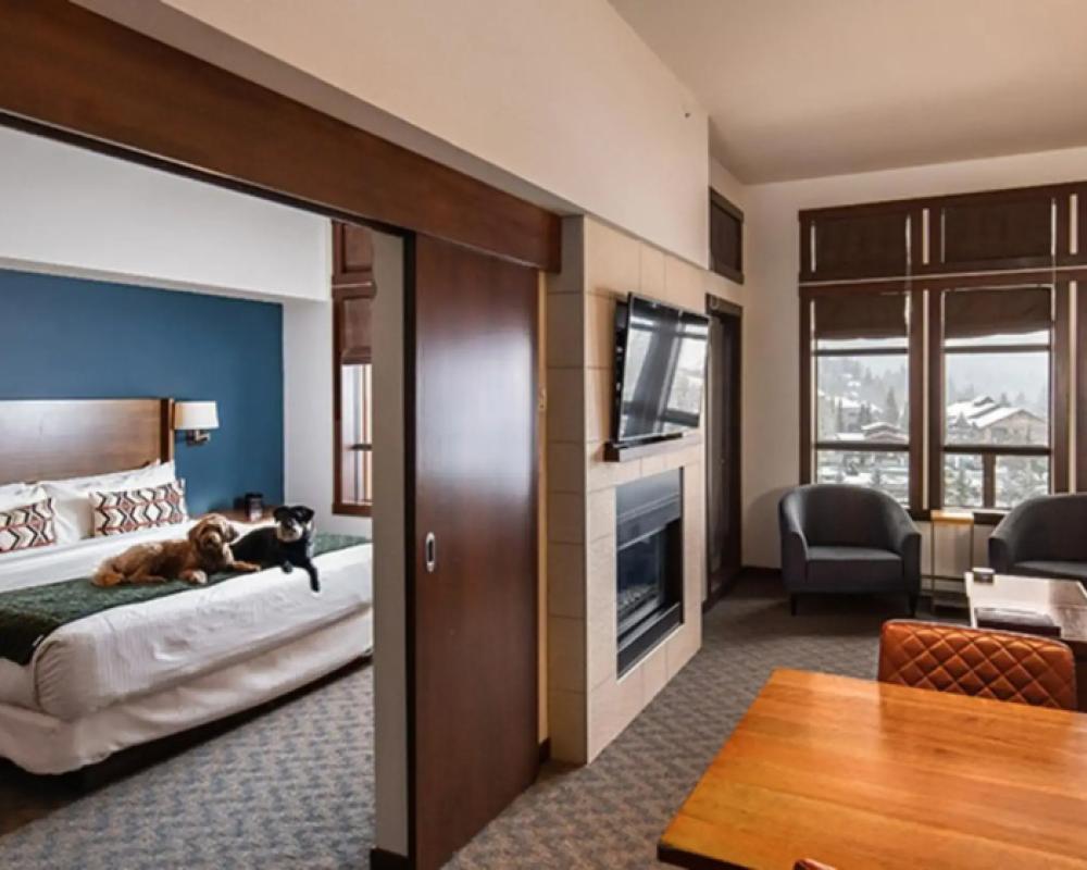 фото Evolution Whistler