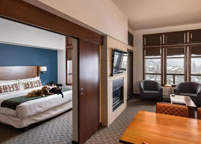 Evolution Whistler