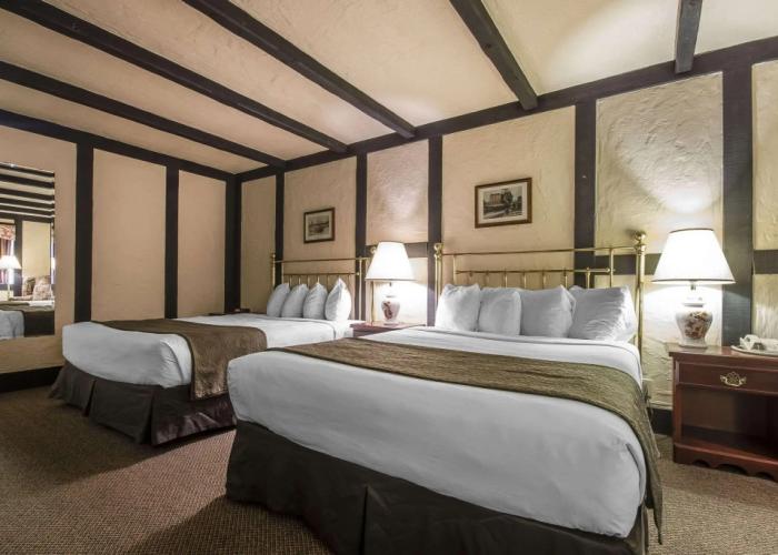 Quality Inn Waddling Dog