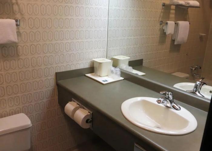 Quality Inn Waddling Dog