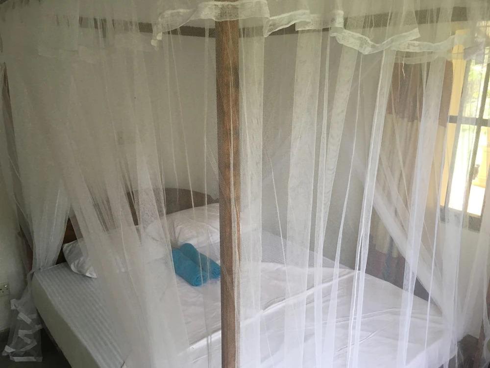 Villa Coconut - Hostel